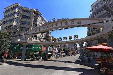 府东国际购买即住，精装，带储藏室